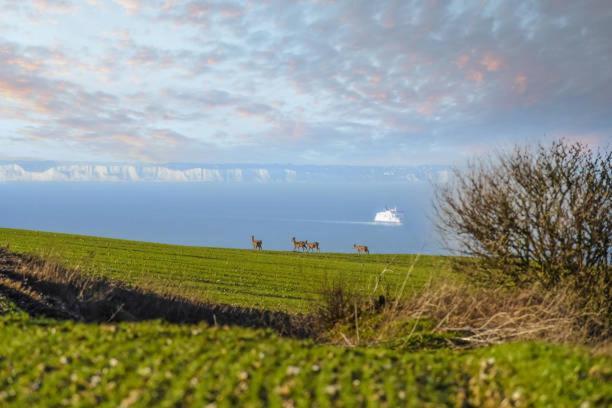 La Bull'Opale - Appartement D'Exception Avec Balneo Boulogne-sur-Mer Exteriér fotografie
